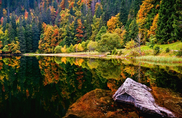 Rừng đen địa Danh Nước đức