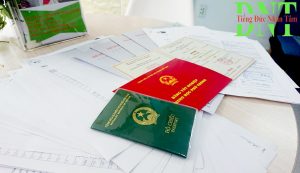 3dd529d5cb2a3e74673b28