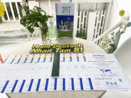 56e119873258c6069f4911