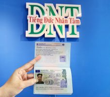 8c6a91abe311114f4800