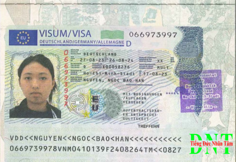 Thiết Kế Chưa Có Tên (87)