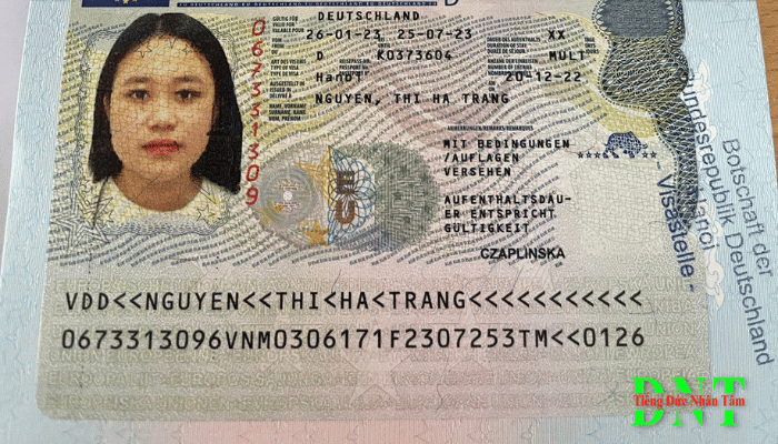 Untitled (700 × 400 Px) (2)