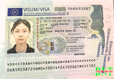 Visa Web