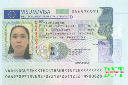 Visa Web (7)