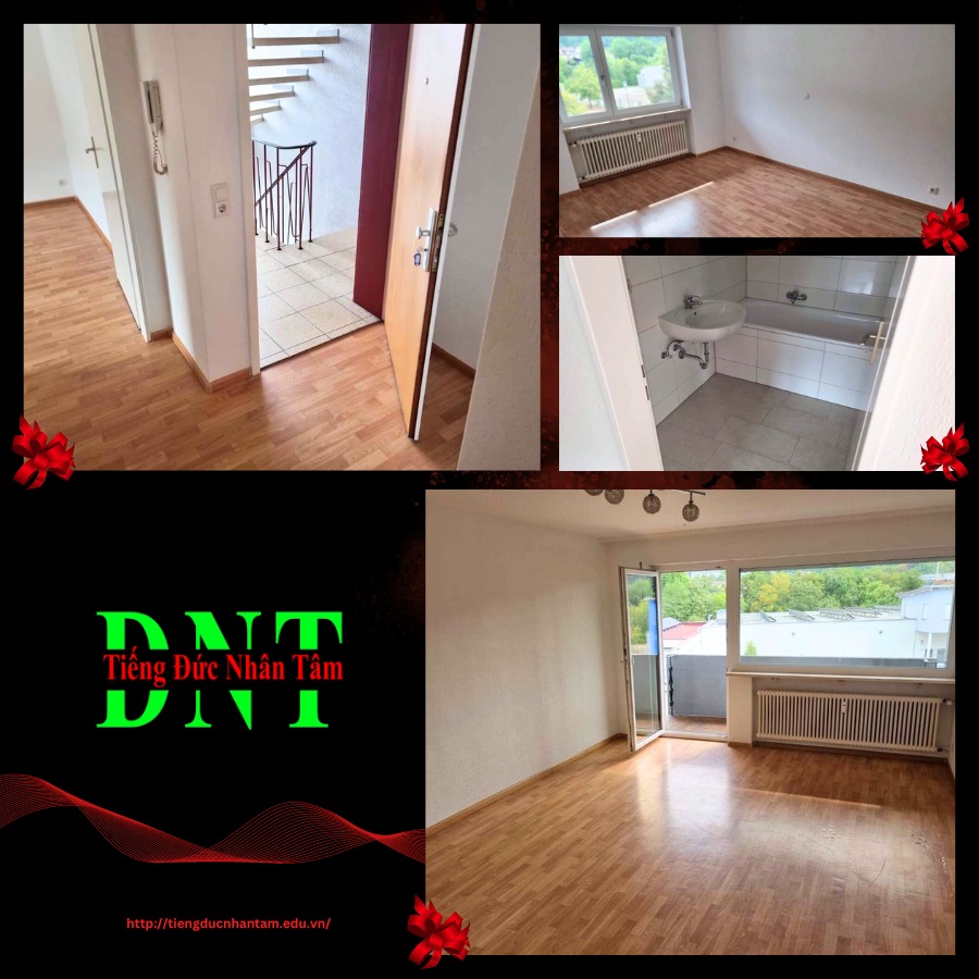 370568201 707142984760975 8768254193434352571 N