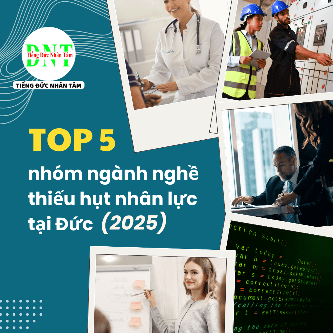 Ngọc T2 Website Min