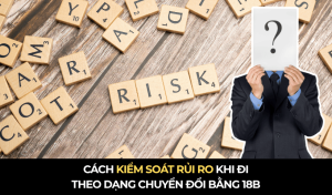 Cách kiểm soát rủi ro khi chuyển đổi bằng